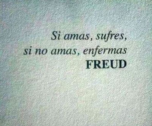 Mercè Torguet Abillar-1