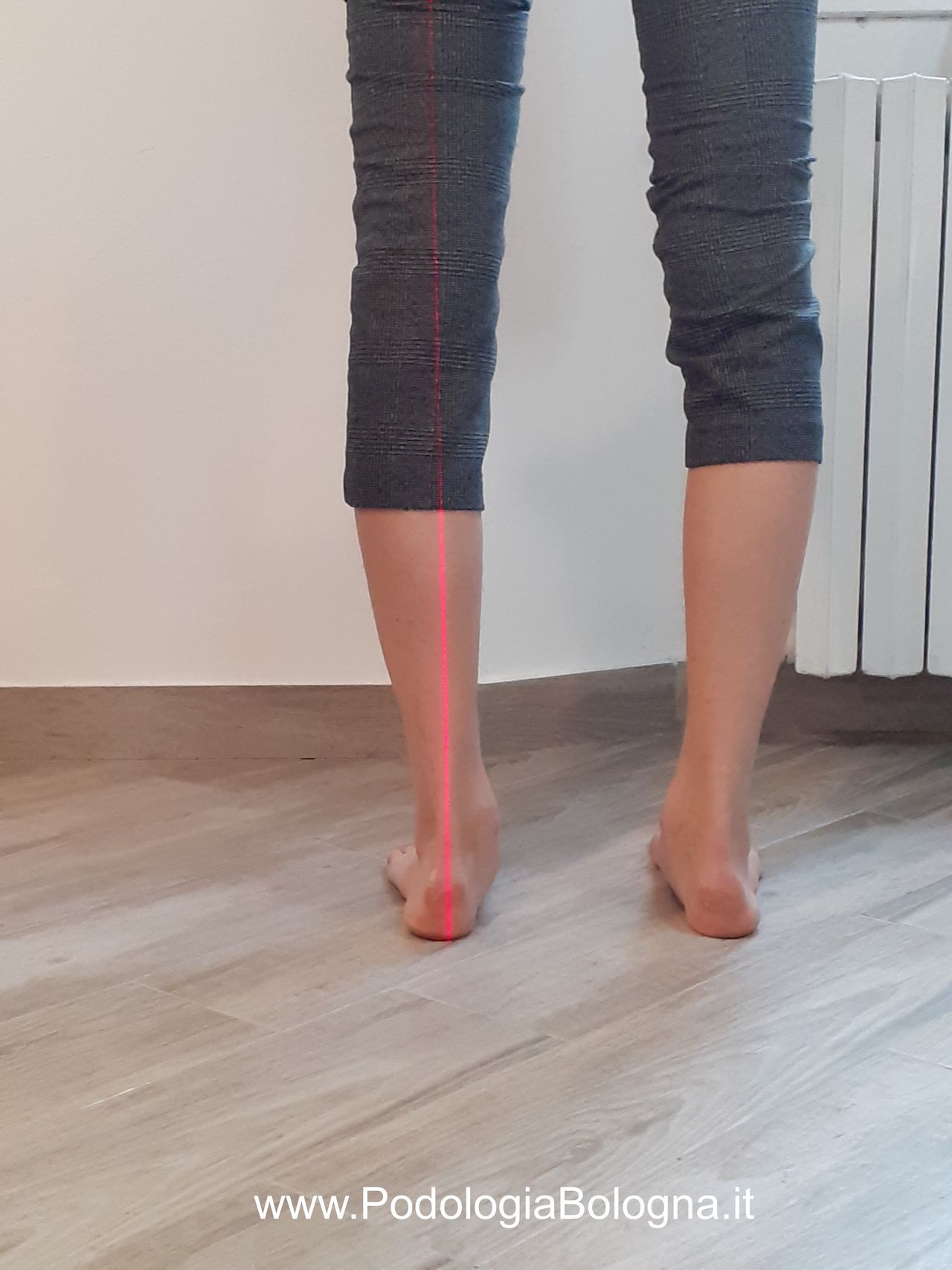 Lorenzo Fasanelli Menestrina-7