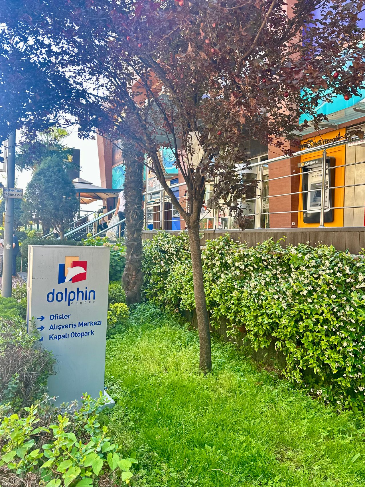 Ecenur Efe Başarır-8