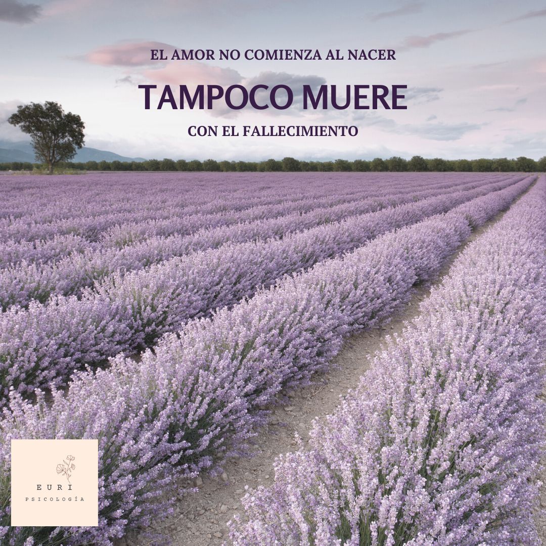 Jone Paguey Alberdi-10