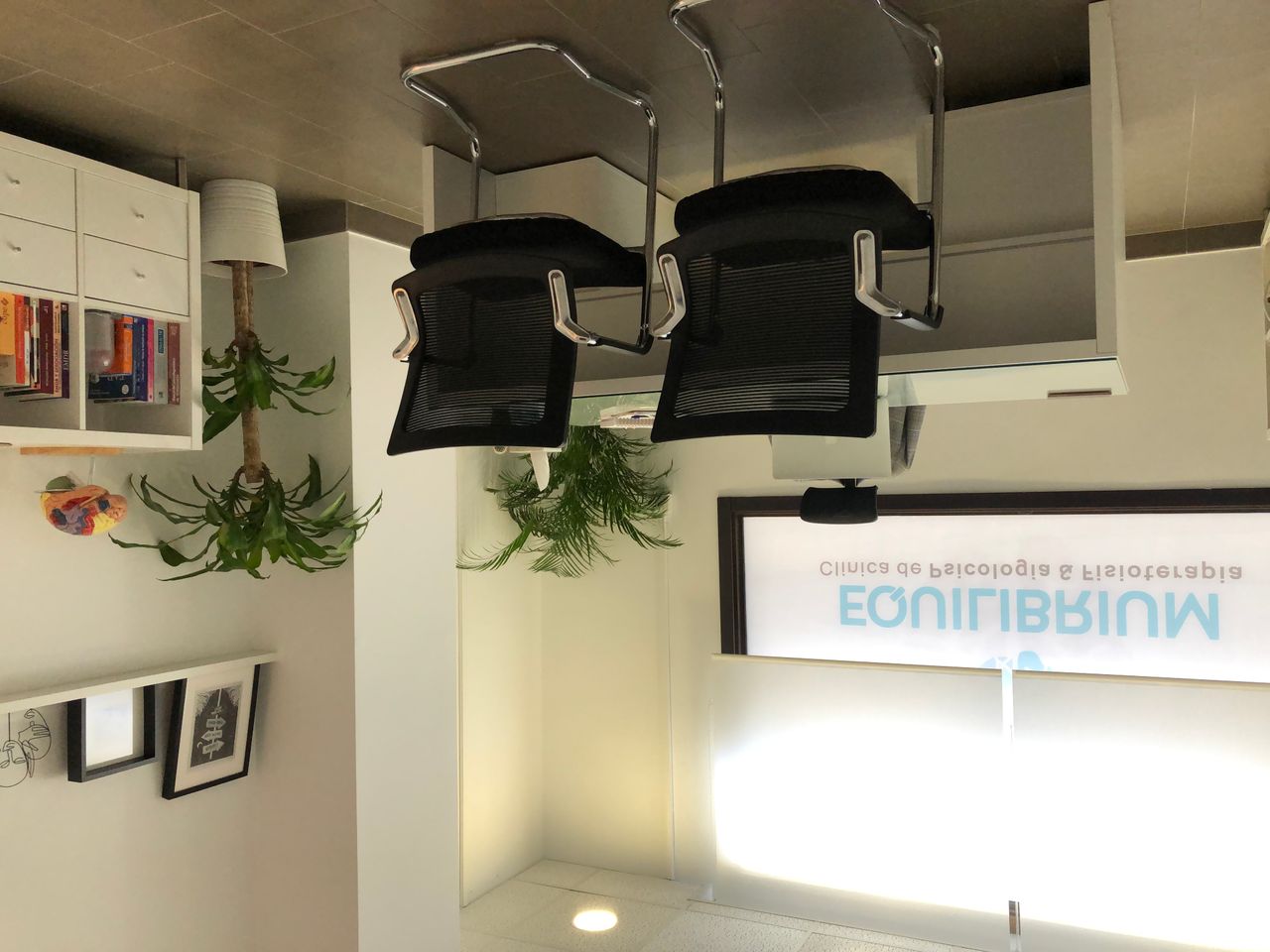 Virginia Cejas Pérez-3