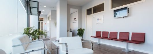 Alicia Salido Serrano-1