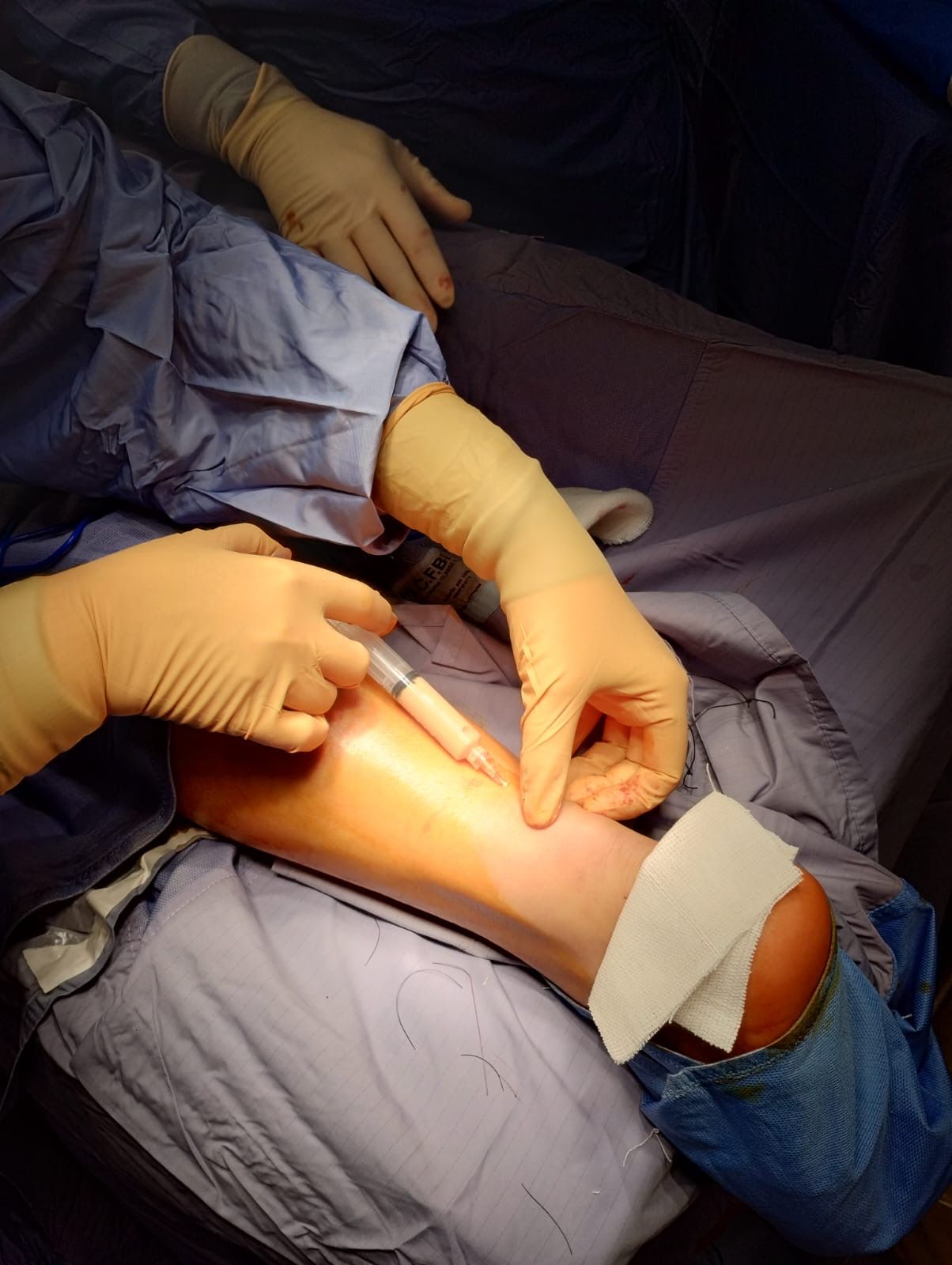 Annarita Piccinato-5