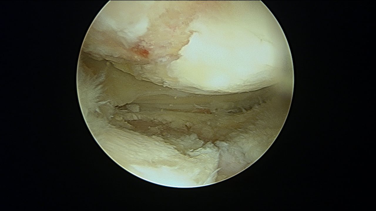 Eulogio Benito Martín-19