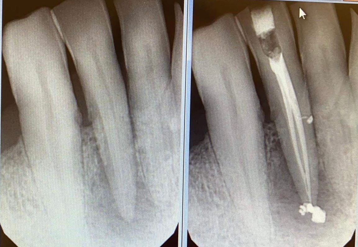 Irena Moczyńska-Kaya-9