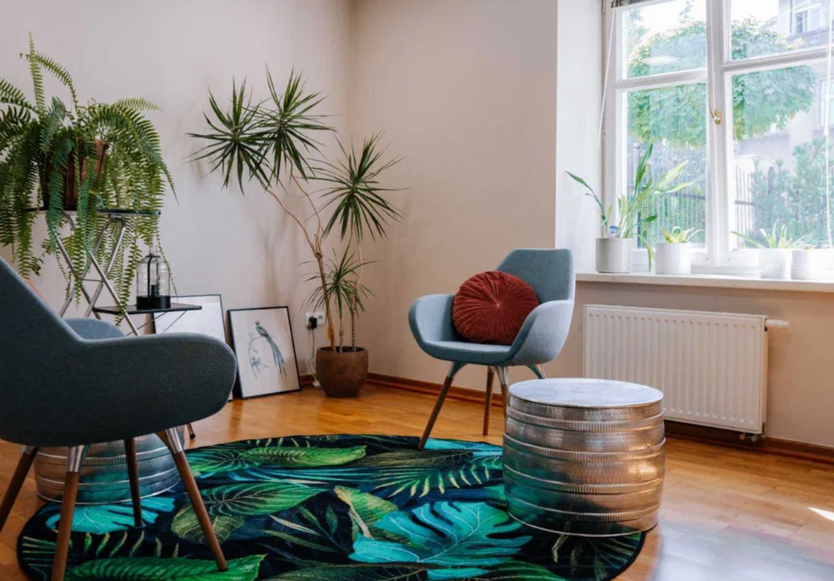 Katarzyna Rojowska-Lis-0