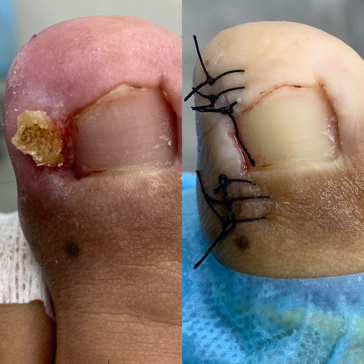 Laura Ortolá Esteve-11