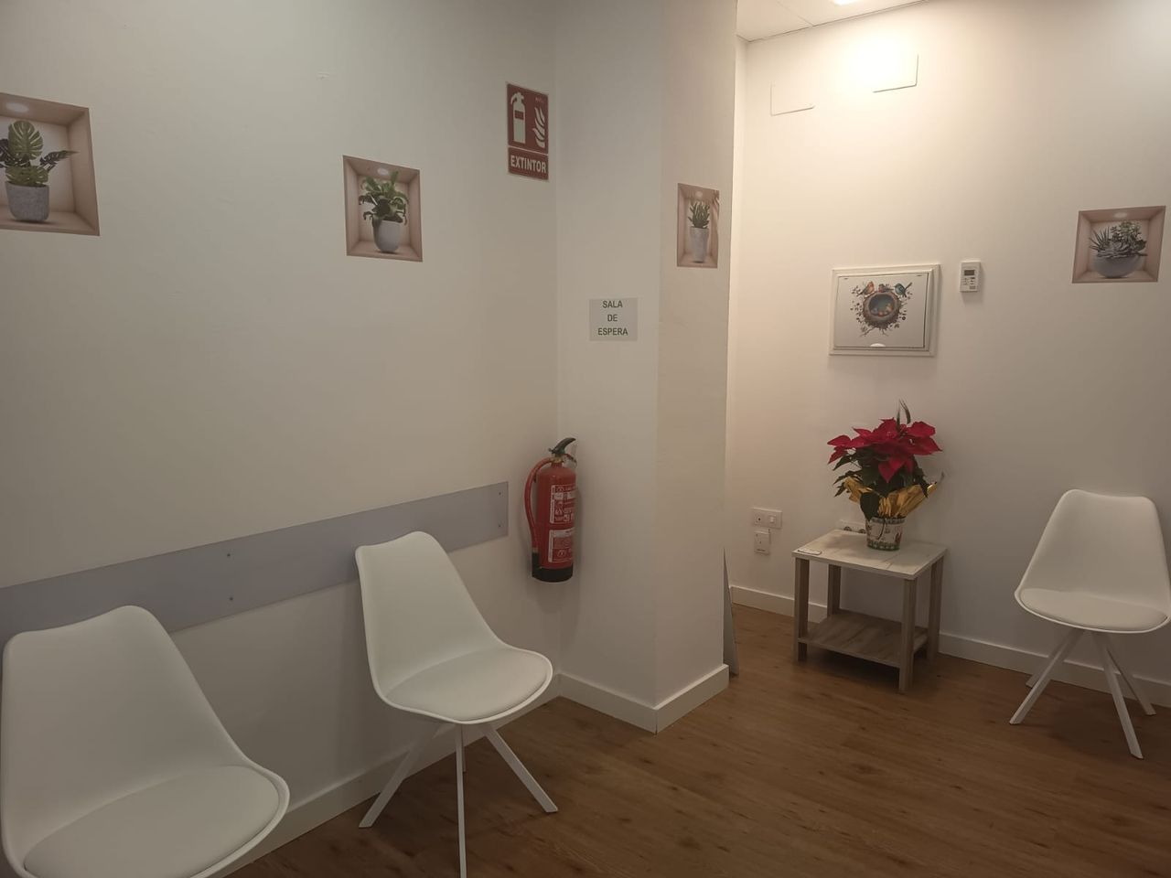 Ángela  Ruiz López -1