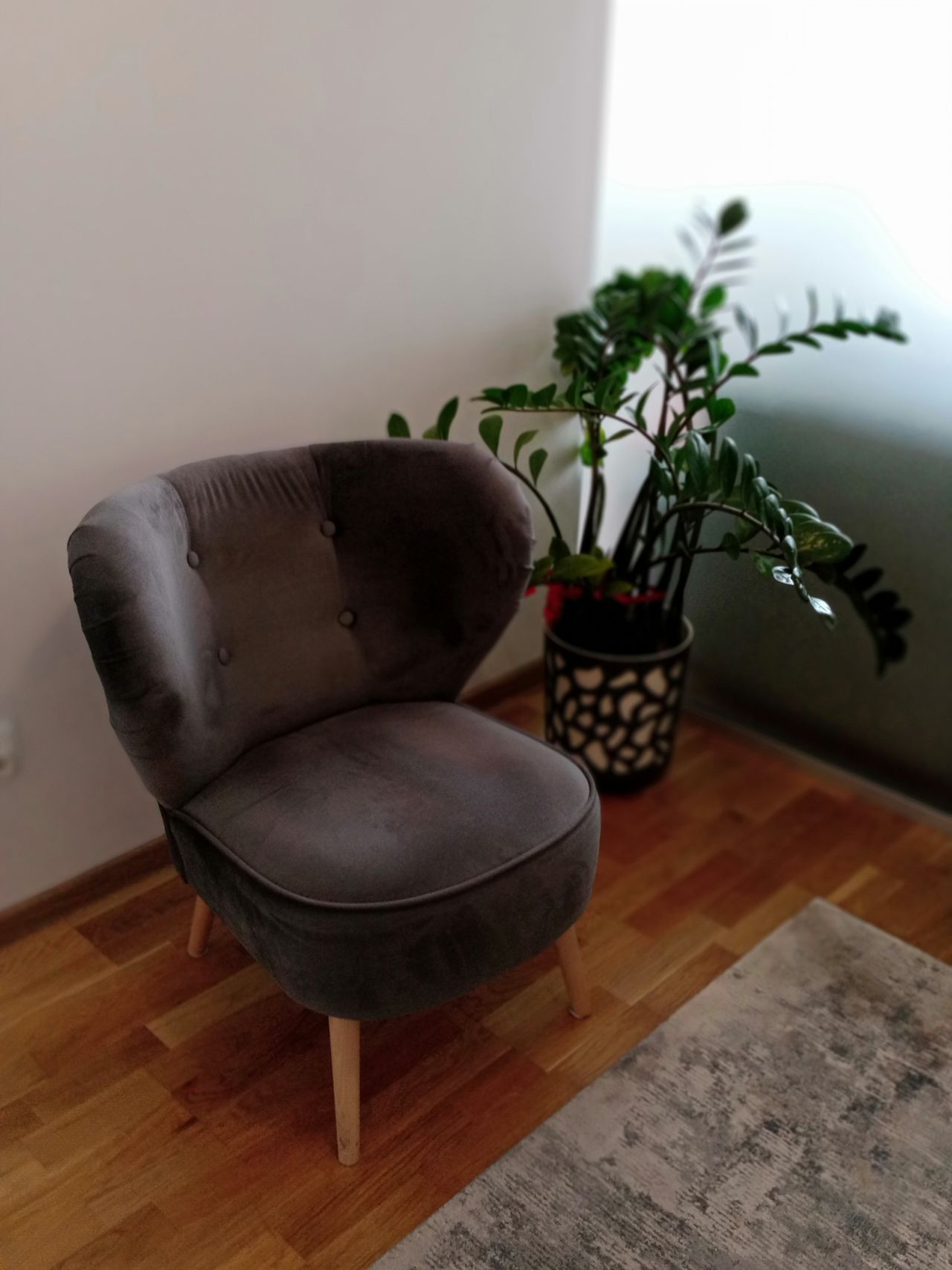 Barbara Truszkowska-1