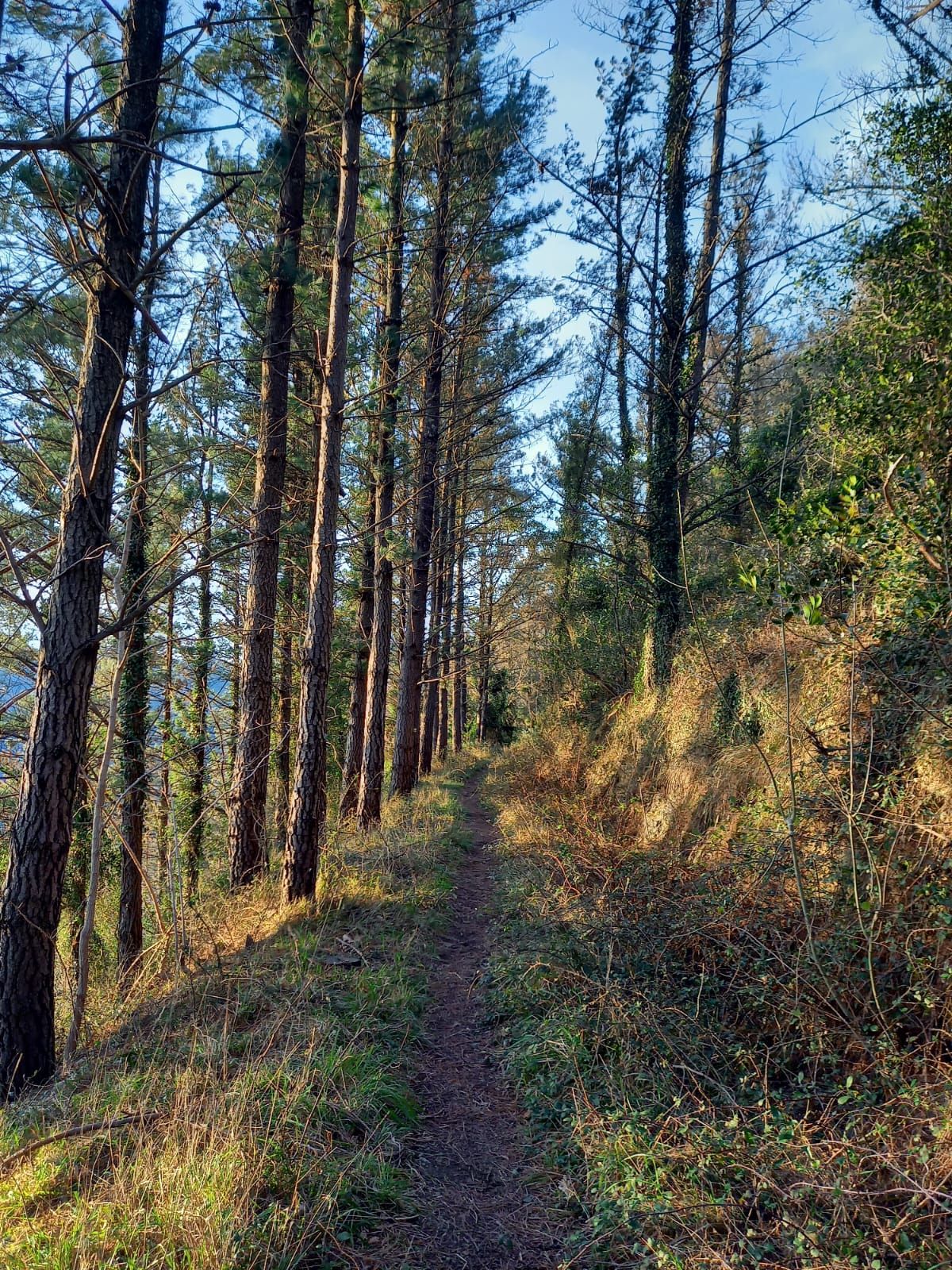 Luisfer Lopez Martinez-8