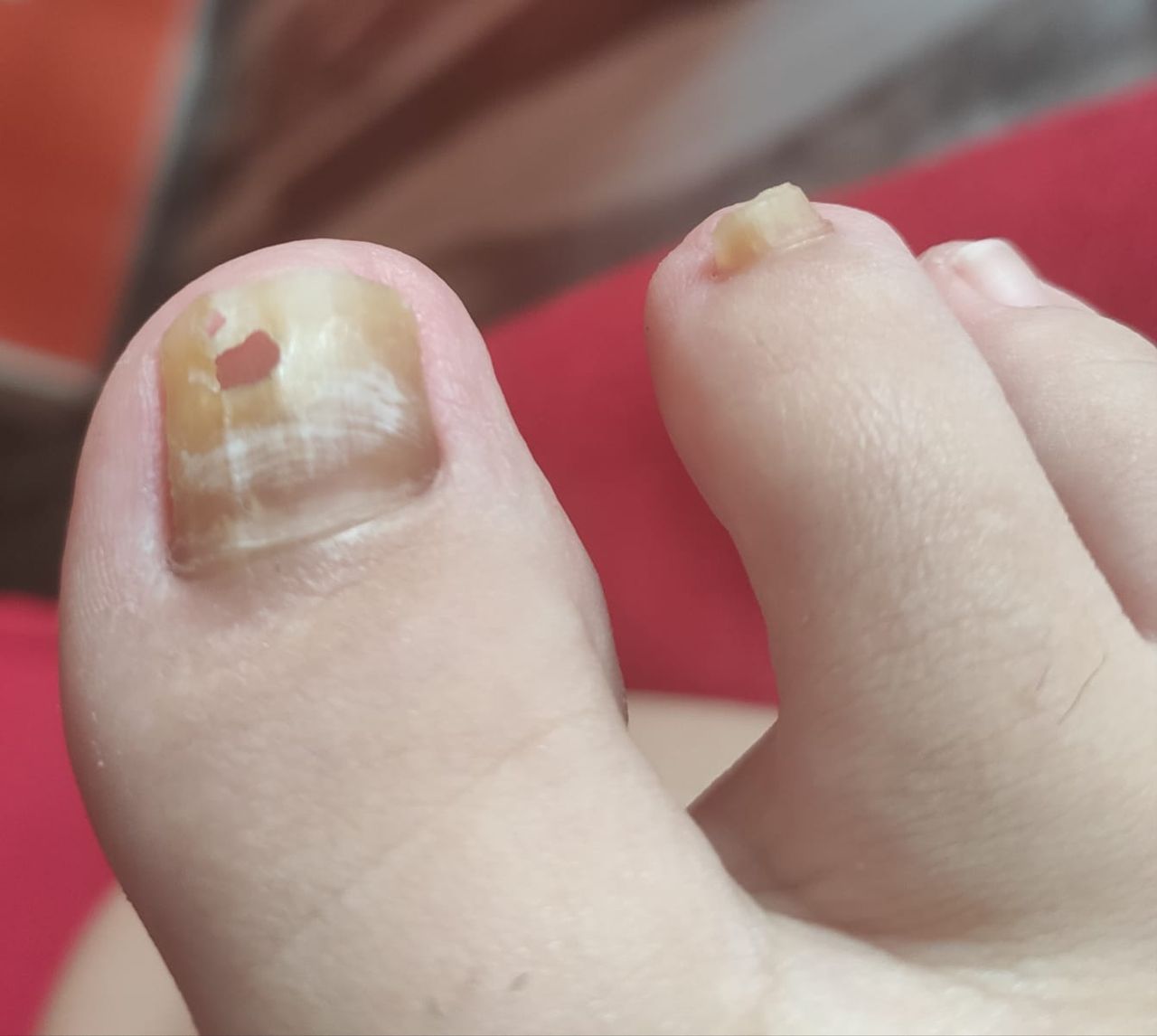 Kassandra Nicolosi-191