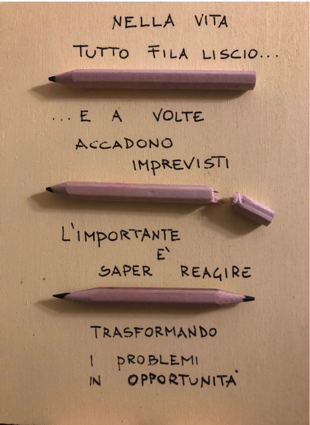 Alessandra Avenale-9