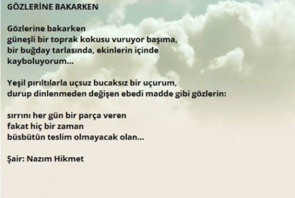 Ayşen Betül Okat-72