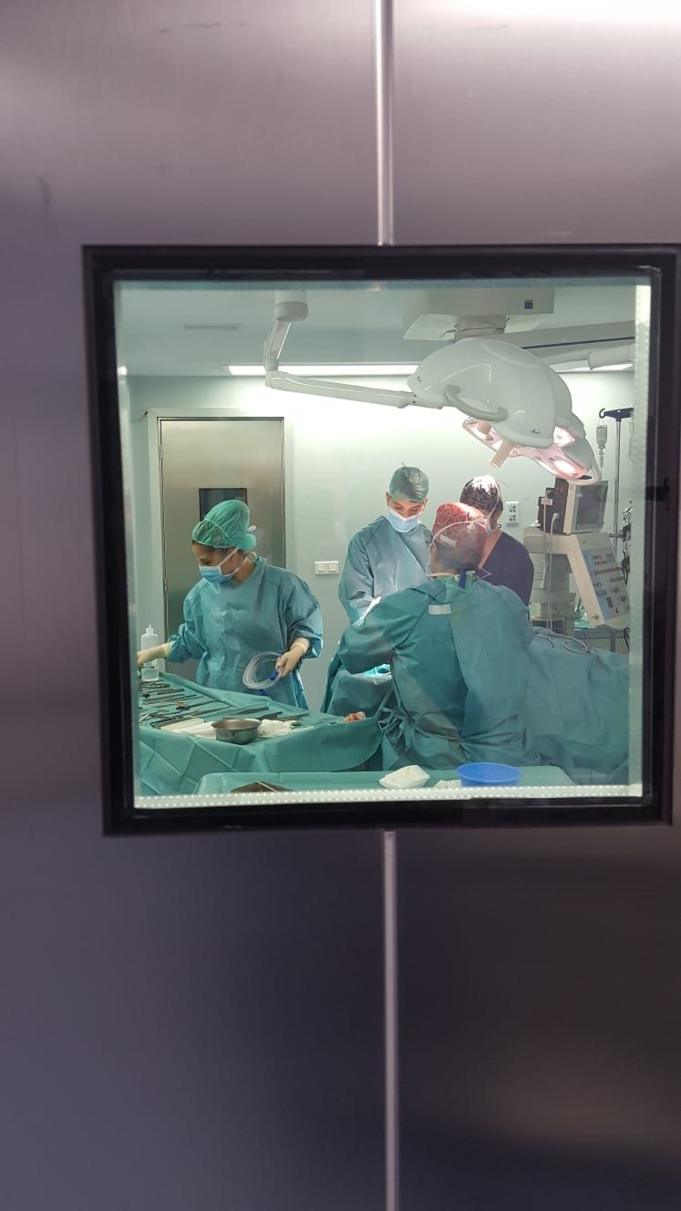 Pedro Perez-Escariz Sanchez-6