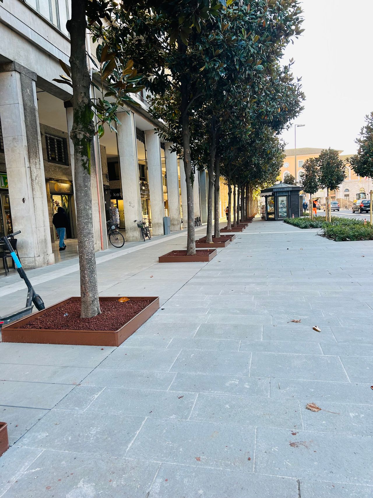 Daniela Andracchio-1