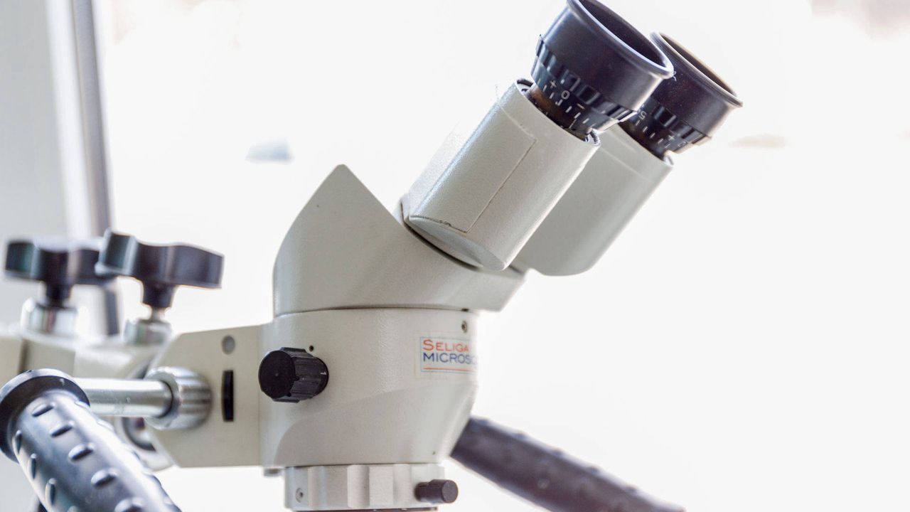 Małgorzata Macierzyńska-Sobczyńska-1