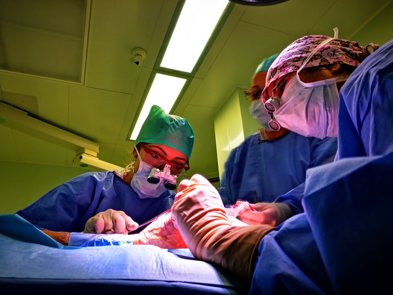 Maddalena Bertolini-4