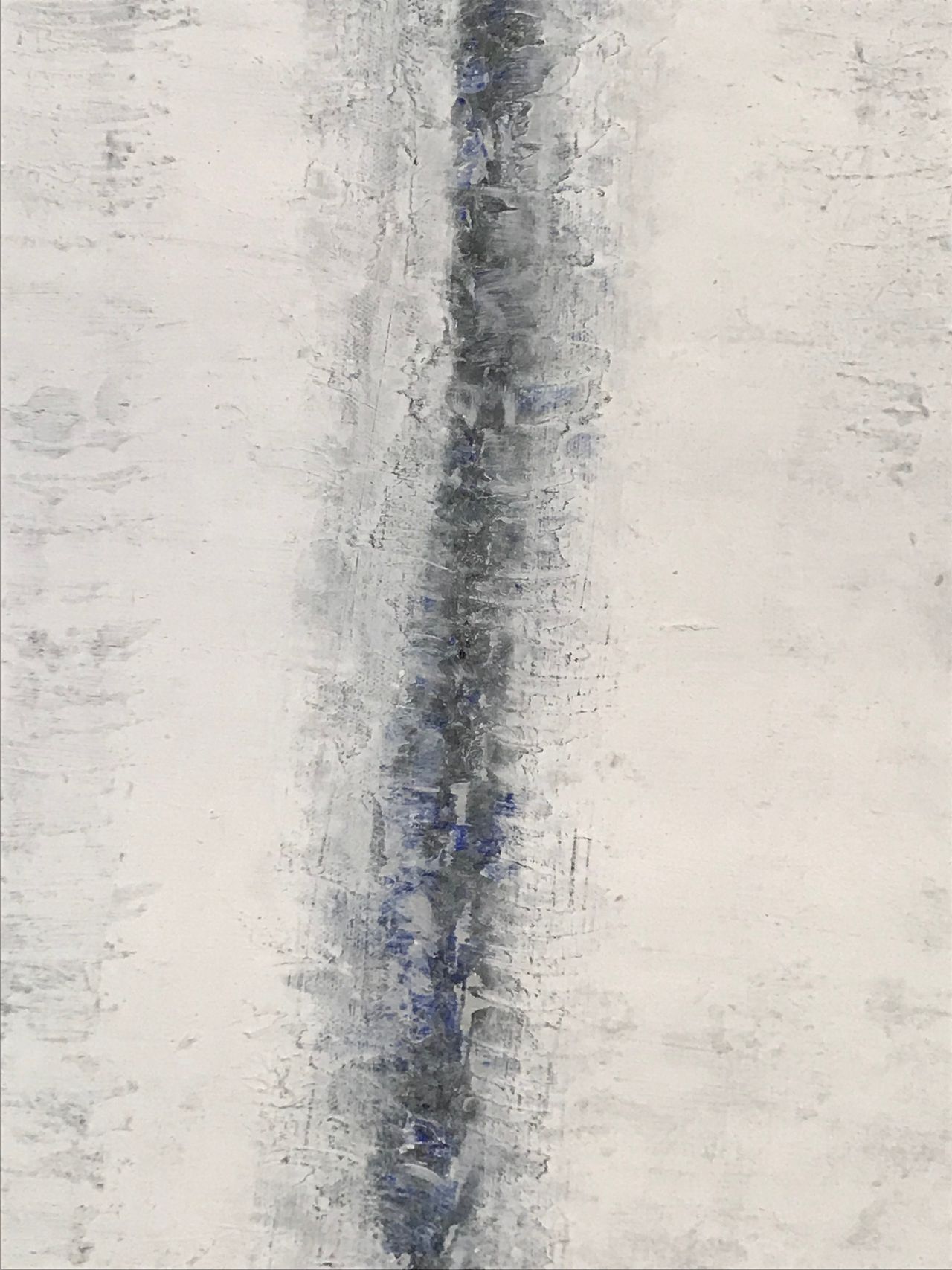 Francesca Vinciarelli-5