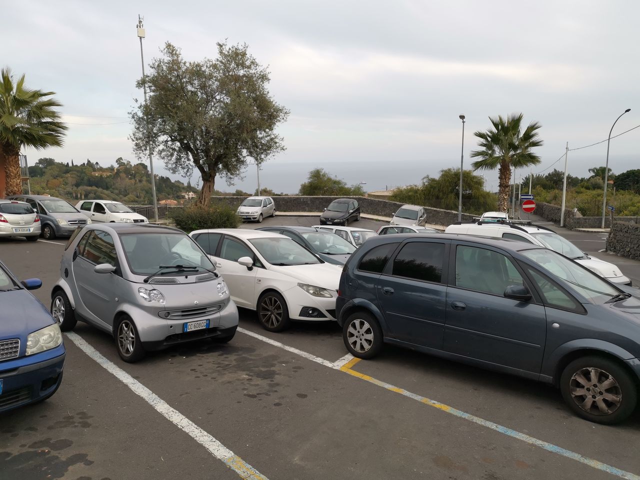 Tiziana Carmen Piro-5