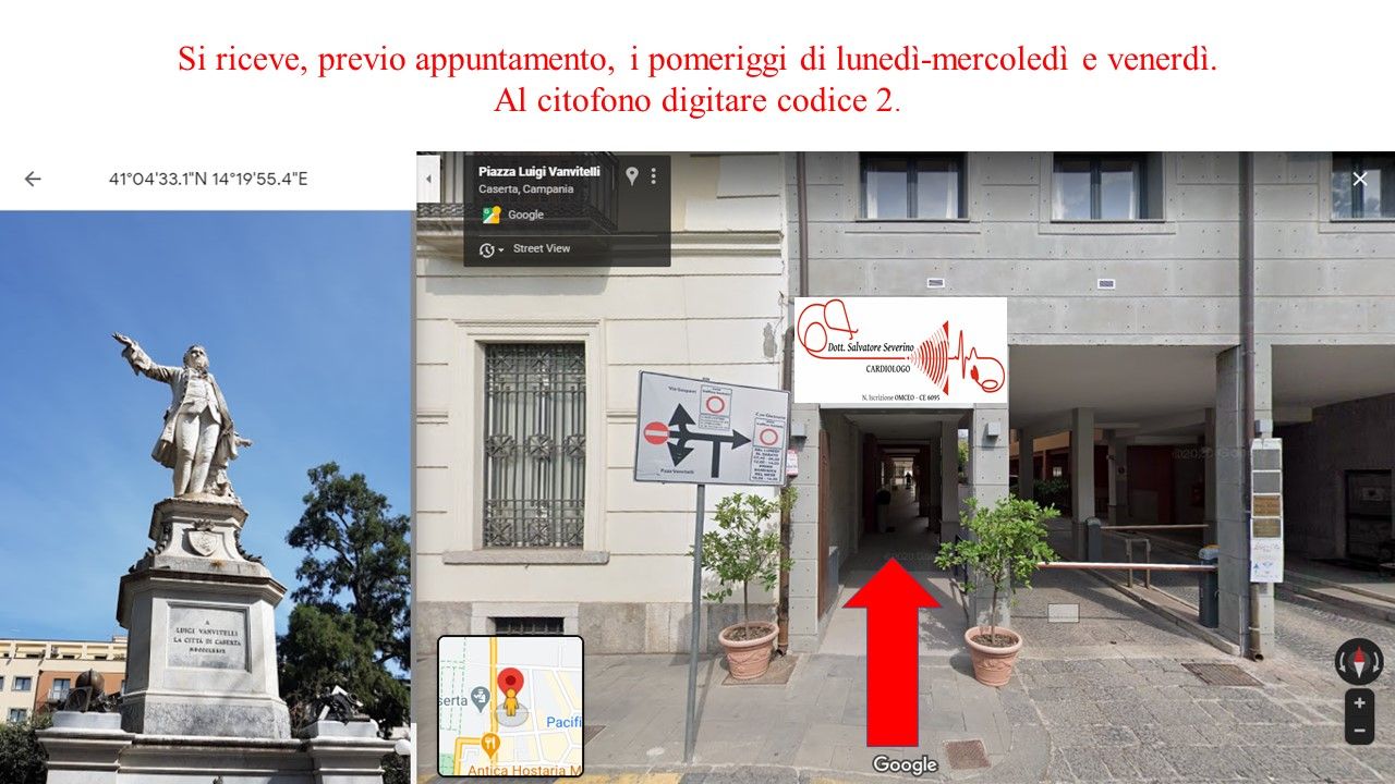 Salvatore Severino-6