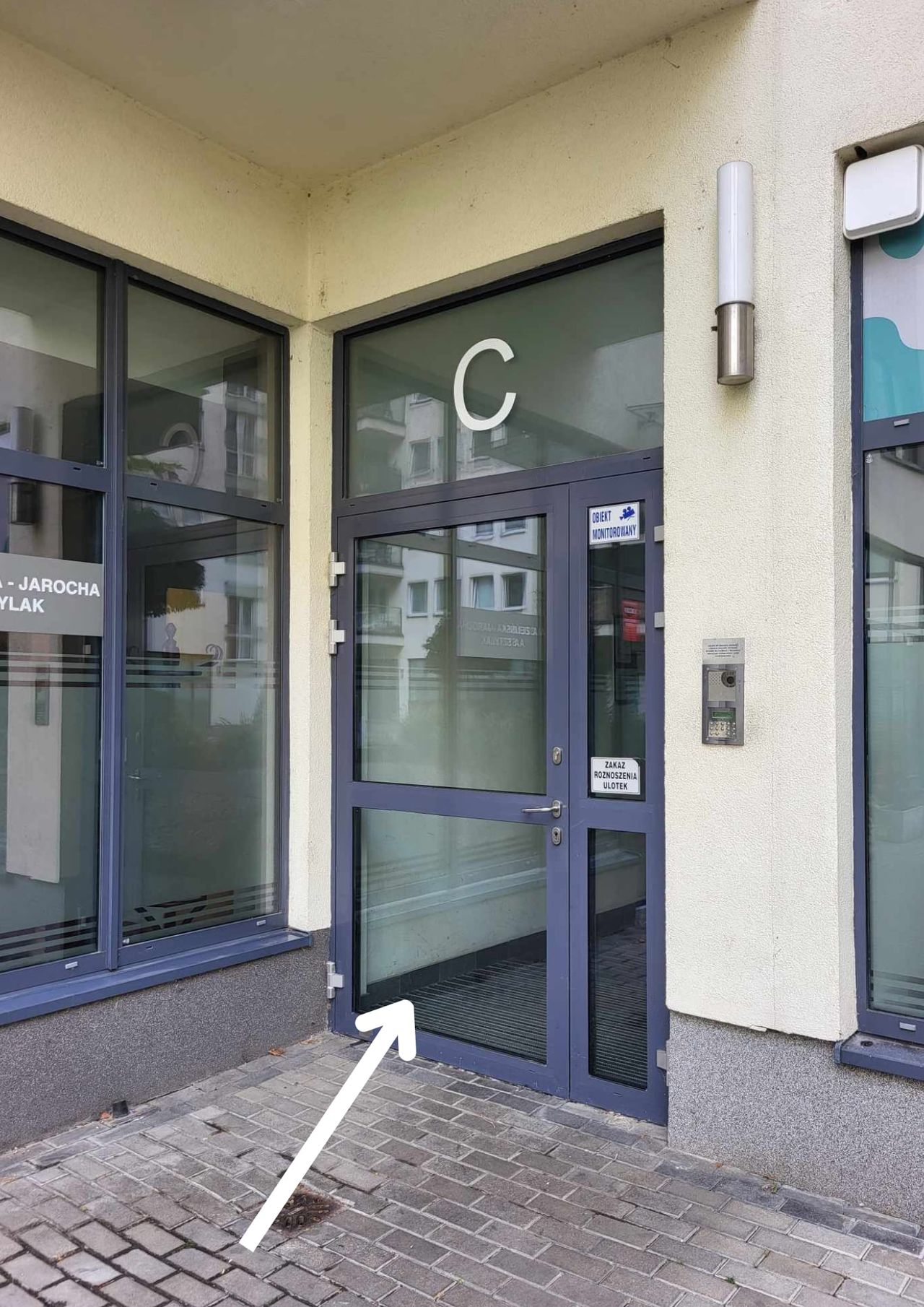 Weronika Rogozińska-9