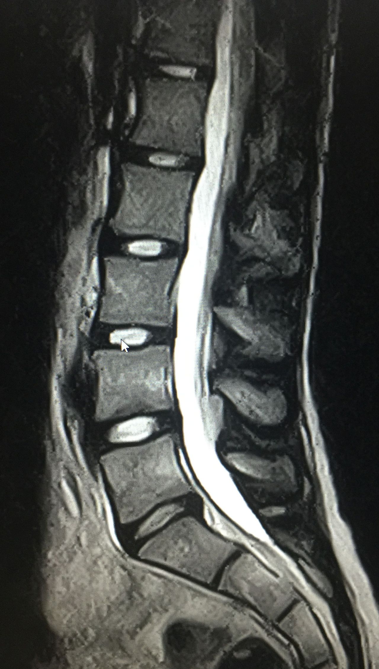 Cornelia Schröder-12