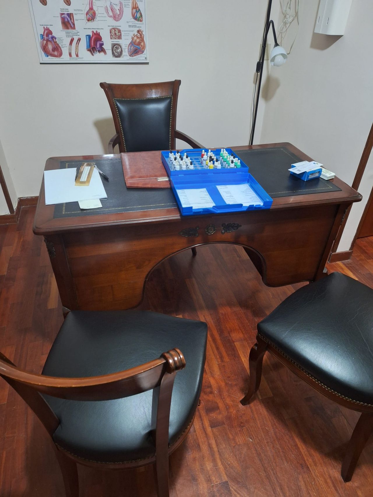 Caterina D'onofrio-2