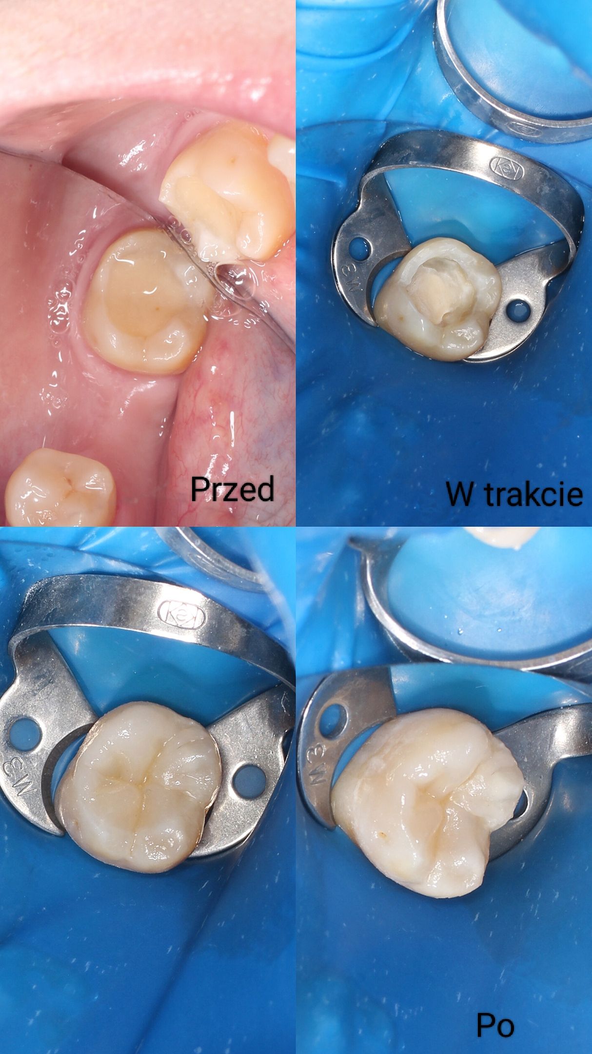 Aleksandra Bobrovskaya-8