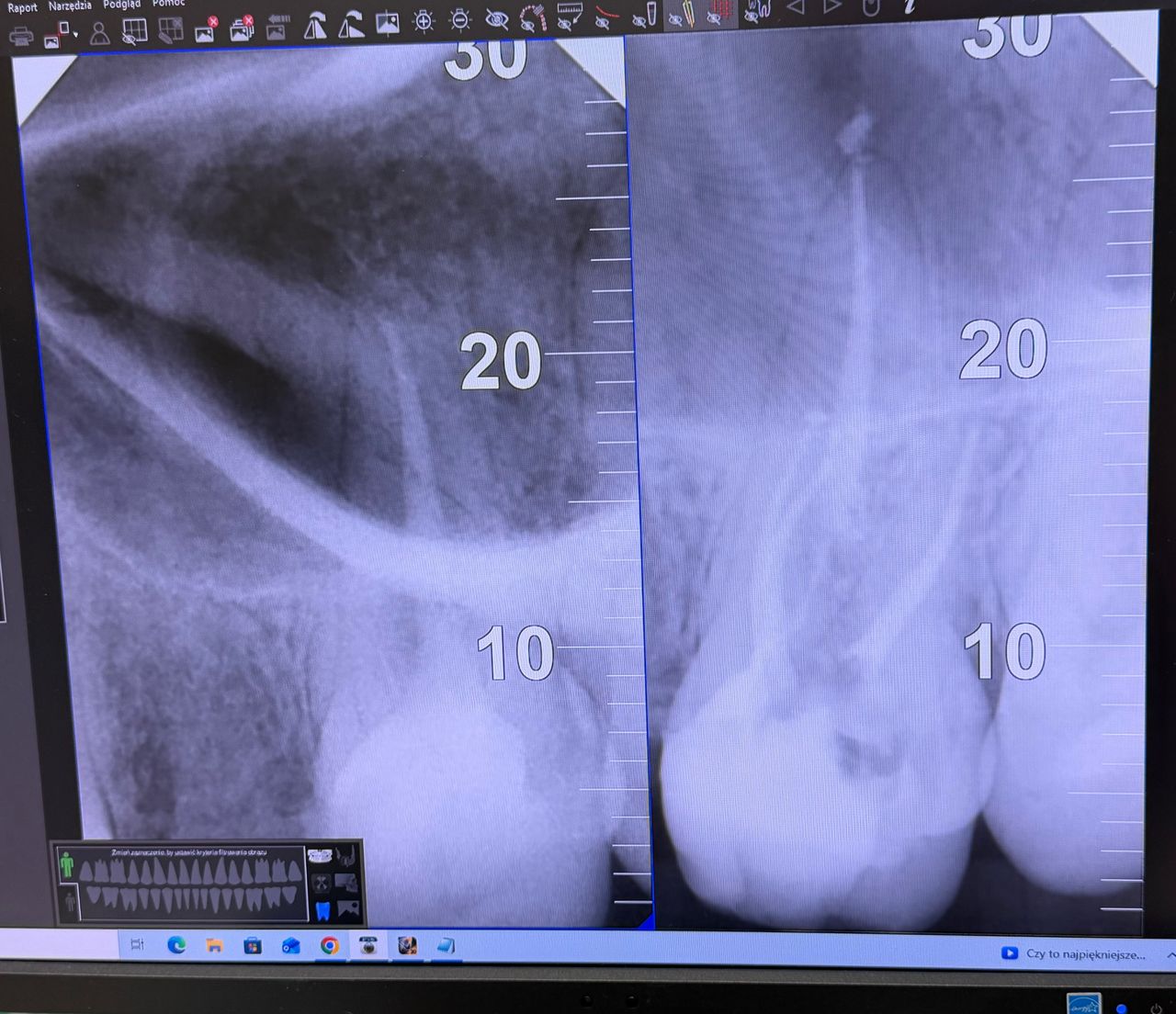 Irena Moczyńska-Kaya-11