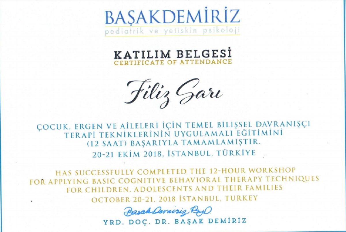 Filiz Sarı-13