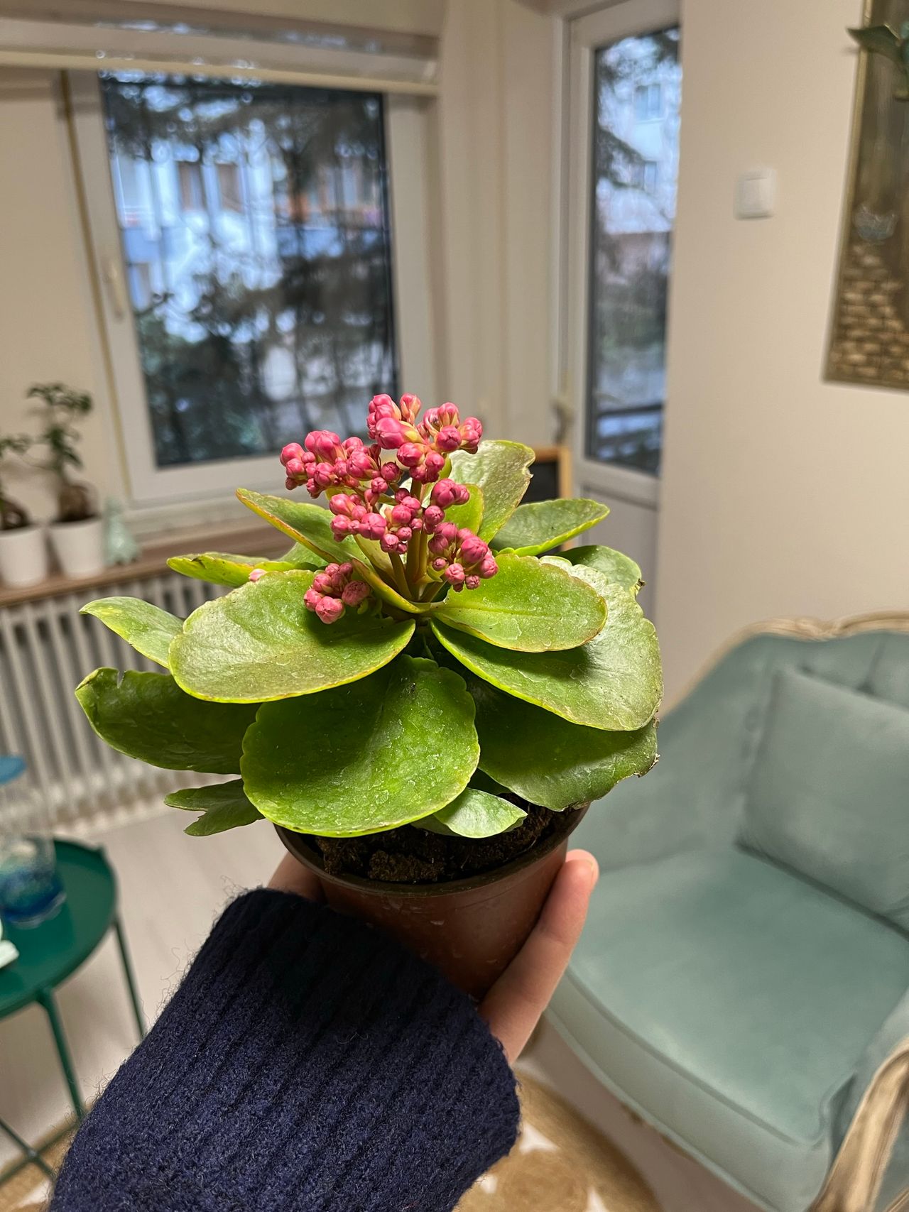 Şule Lütfiye Kıvrak-45