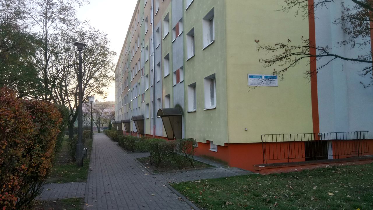 Grażyna Doroszewska-0