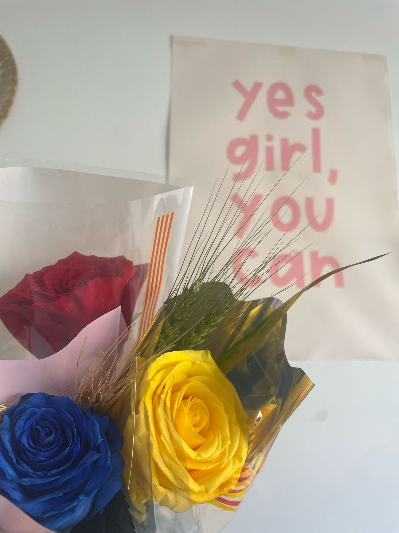 Patricia Gutiérrez Isla-69