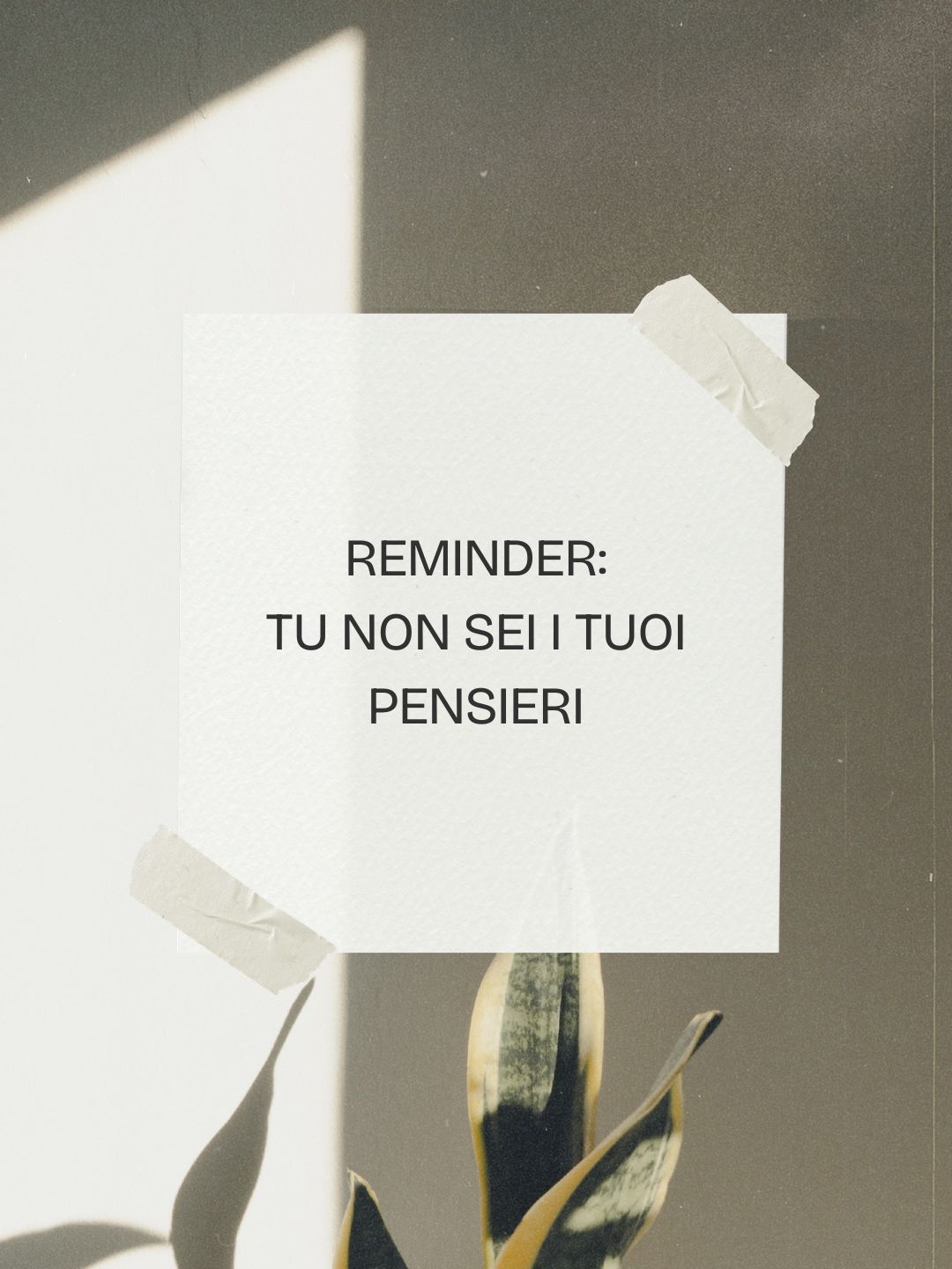 Sabrina Scabini-0