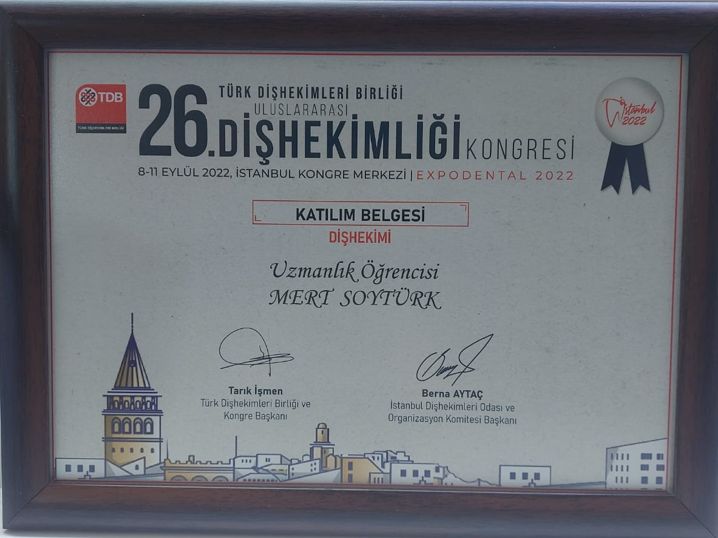 Mert Soytürk-2