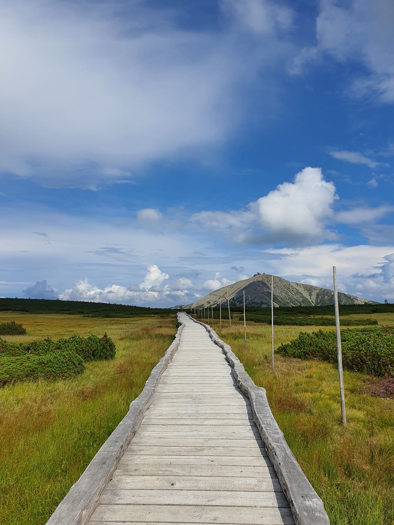 Sławomir Kanderski-2