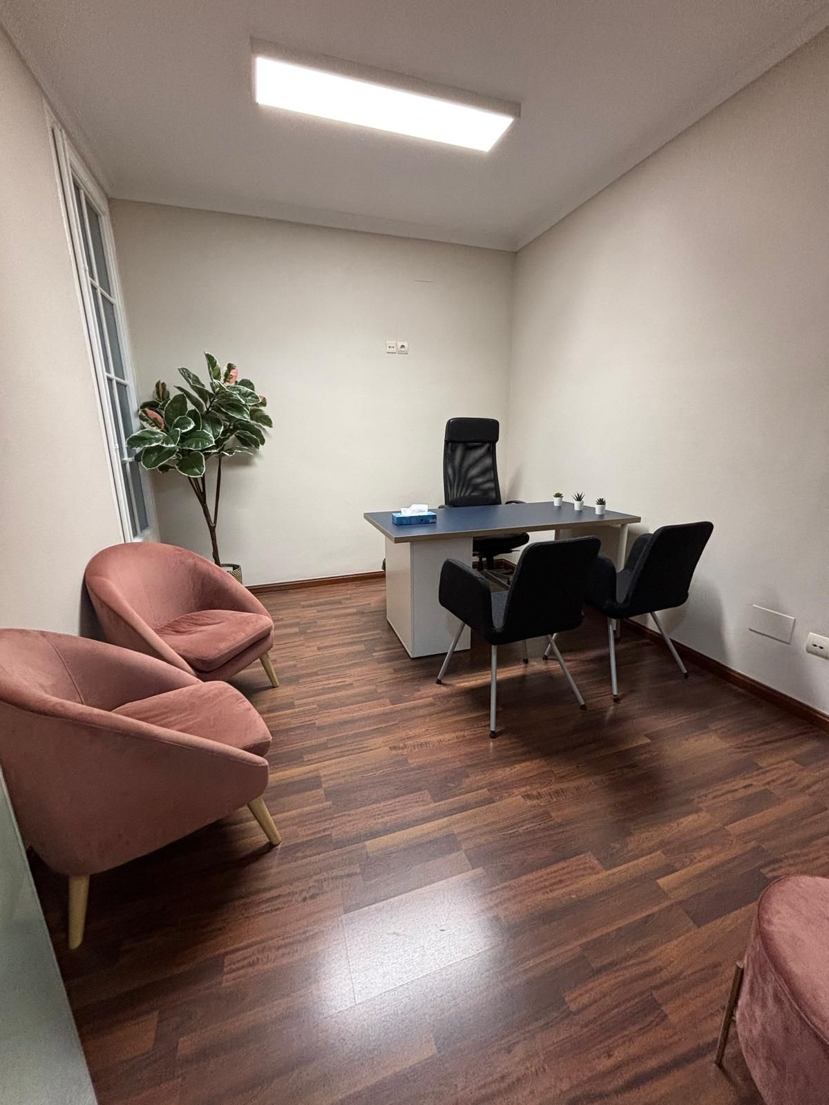 Georgina De Sostoa Bruguera-7