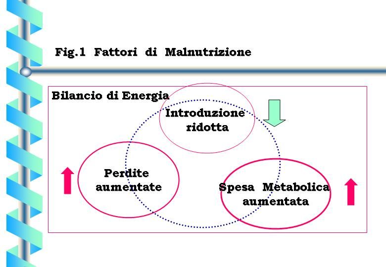 Giacinto Abele Donato Miggiano-27