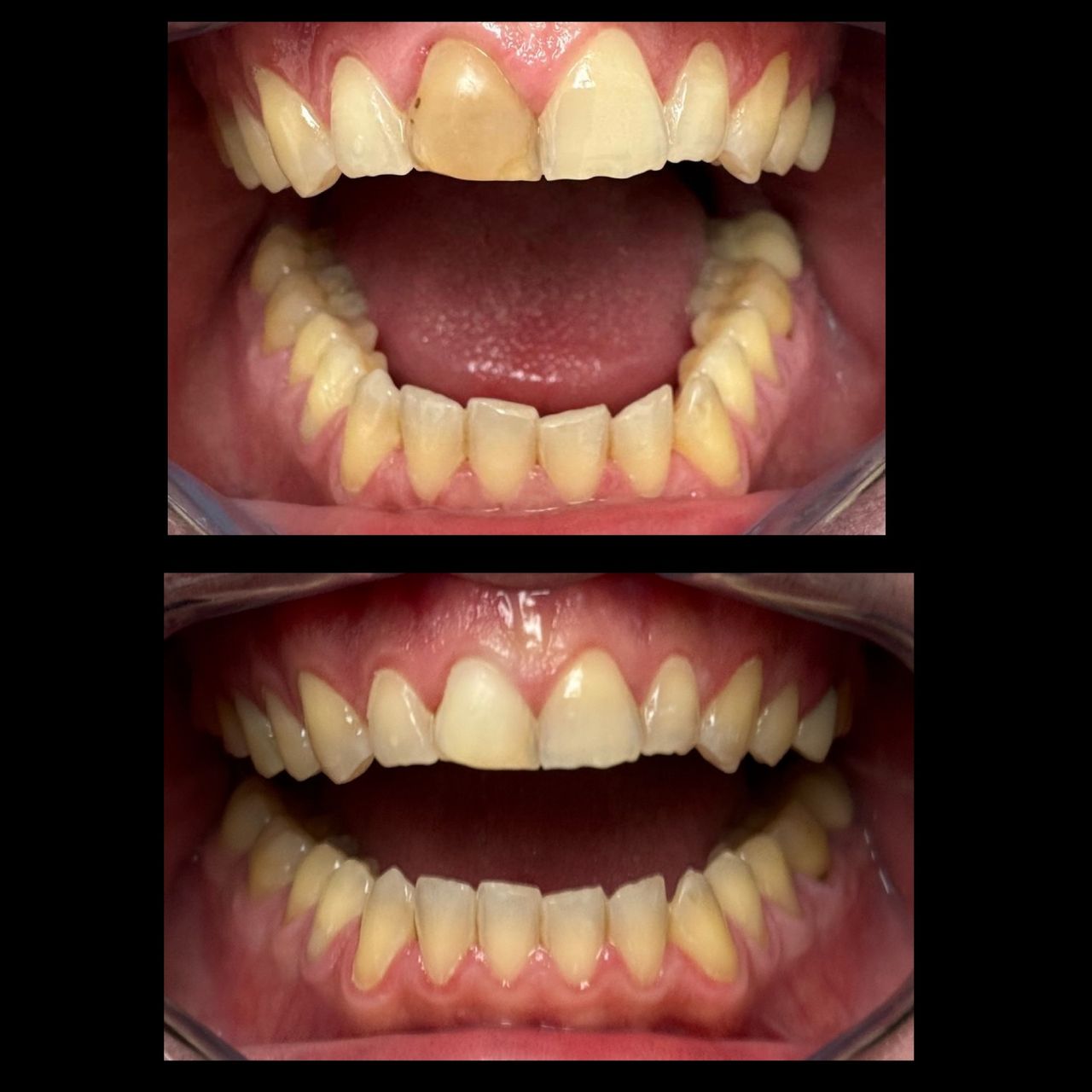 Maria Grazia Diaferia-31