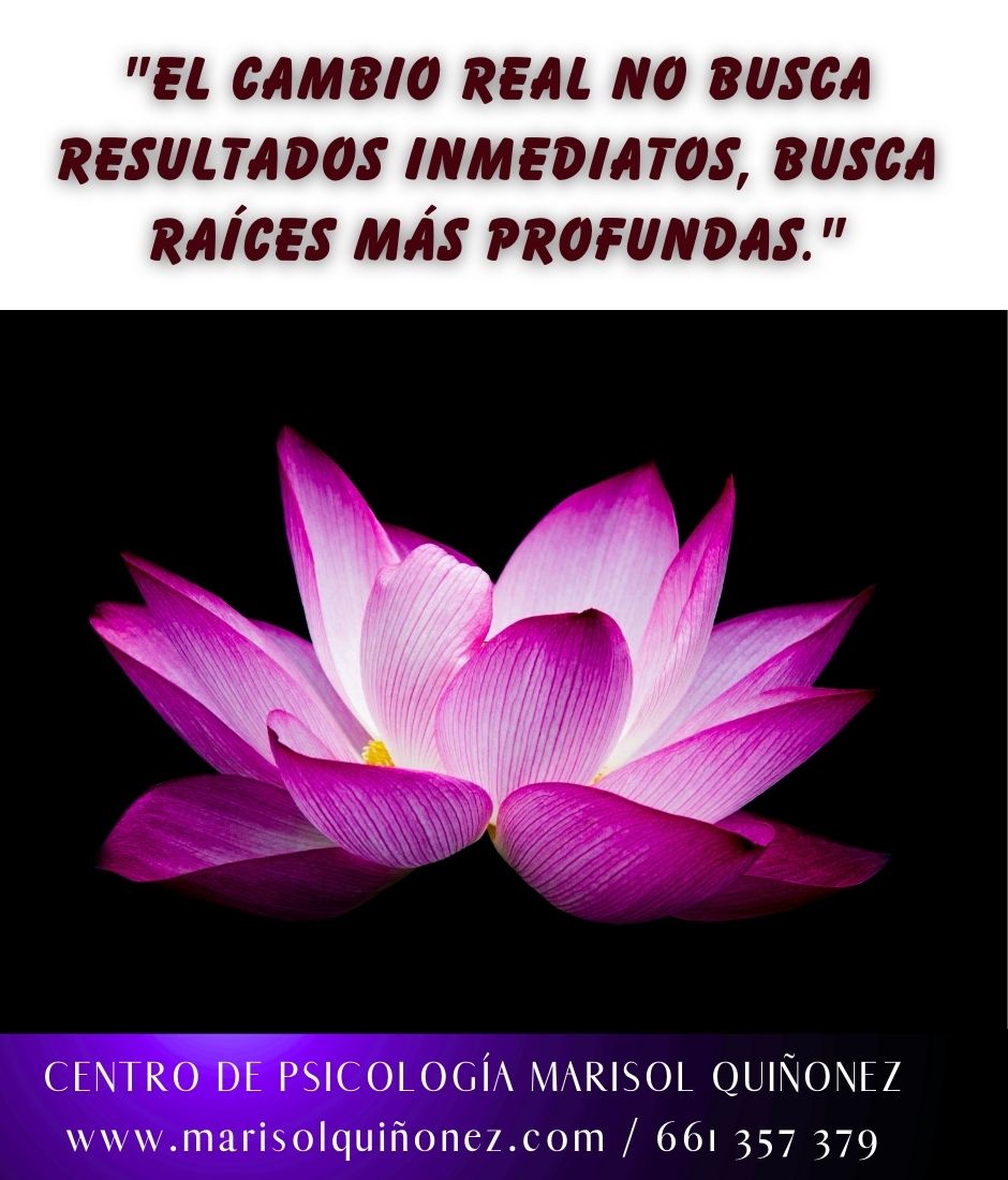 Marisol Quiñonez Quintero-157