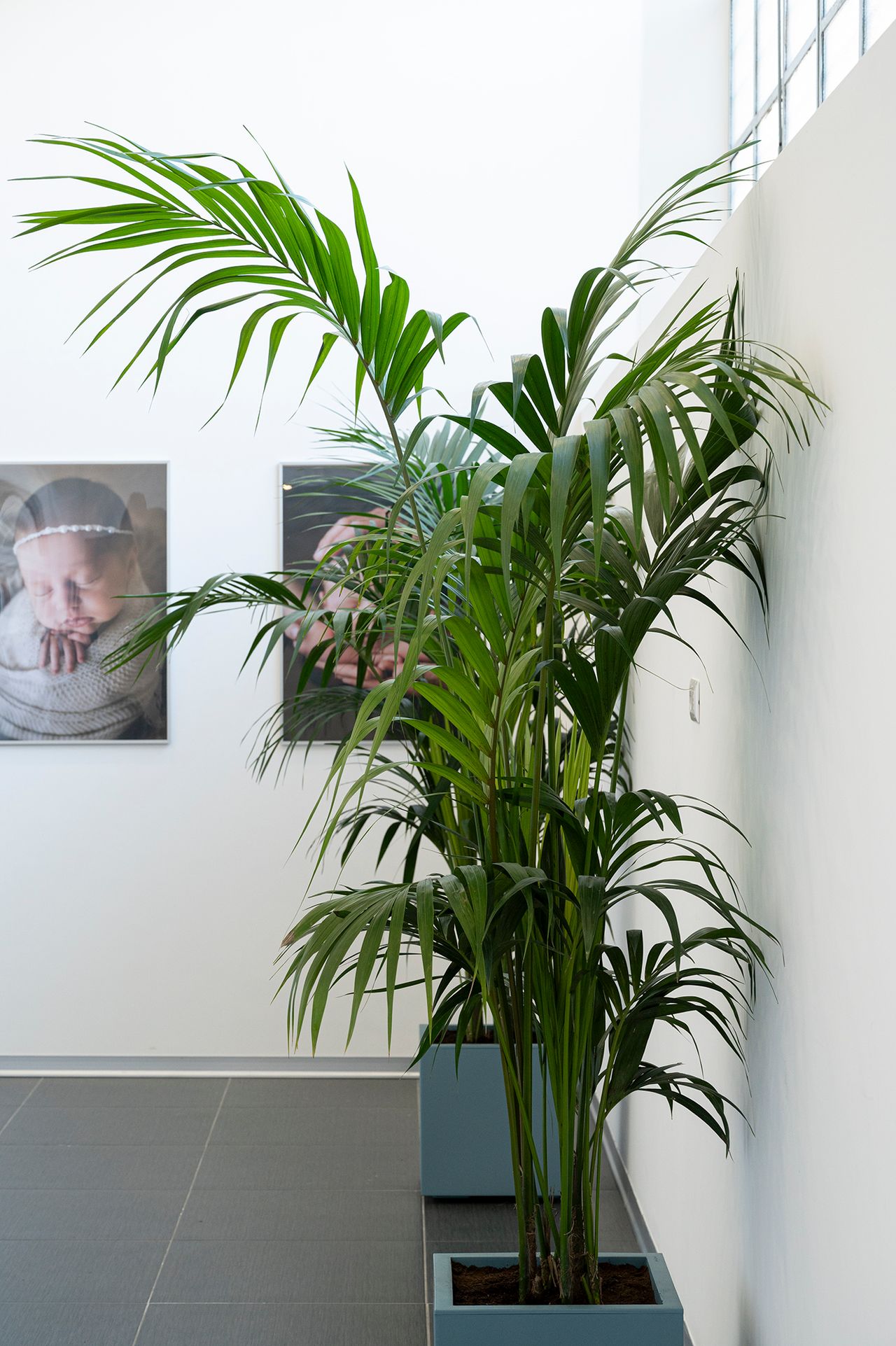 Vito Salvatore Zurzolo-12