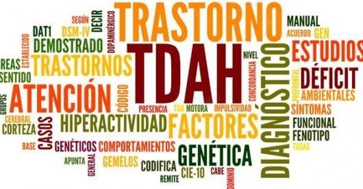 Sara Sofia Martins Moriano-1