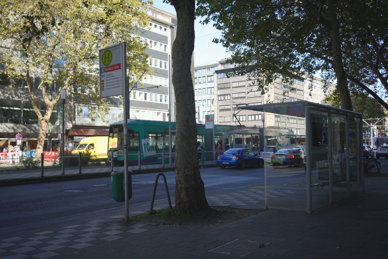Norbert Lüttringhaus-10