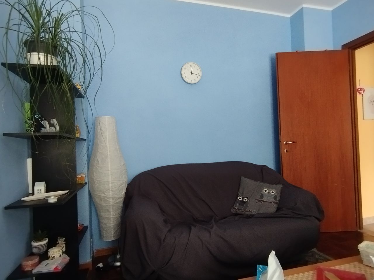 Patrizia Di Camillo-8