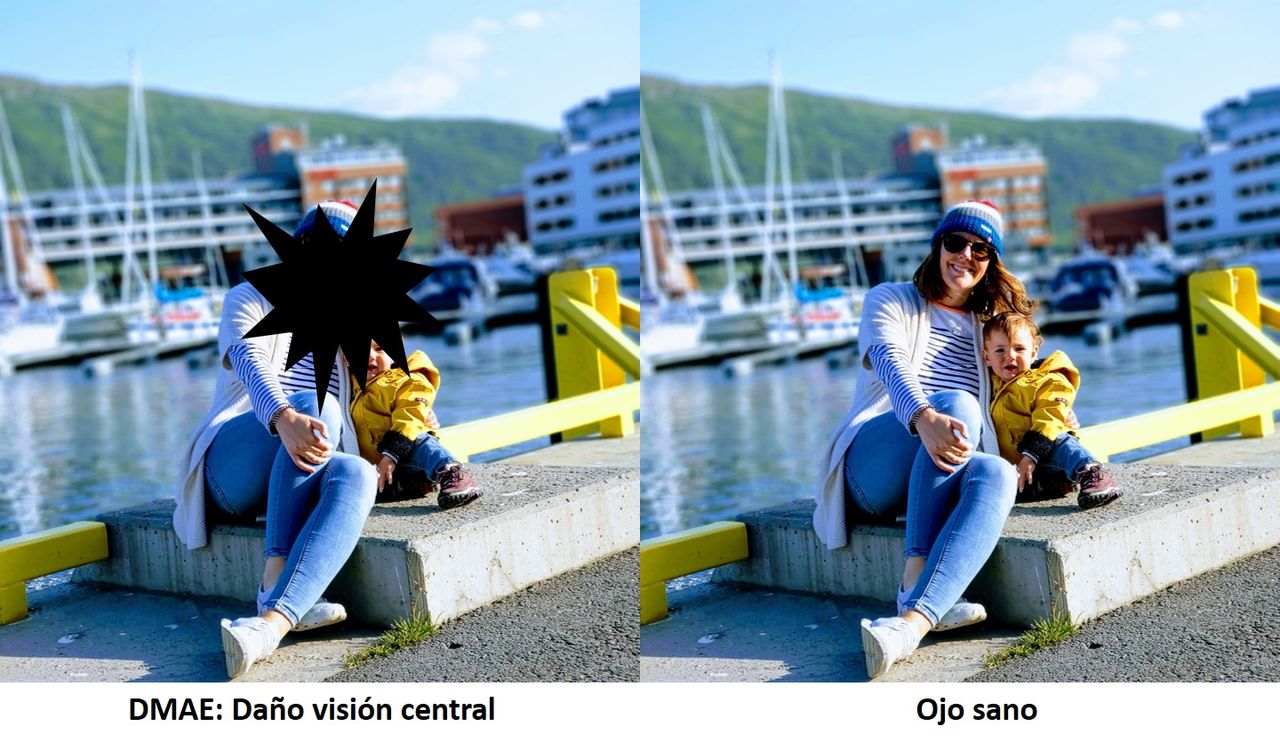 Telmo Xabier Lertxundi Plaza-6