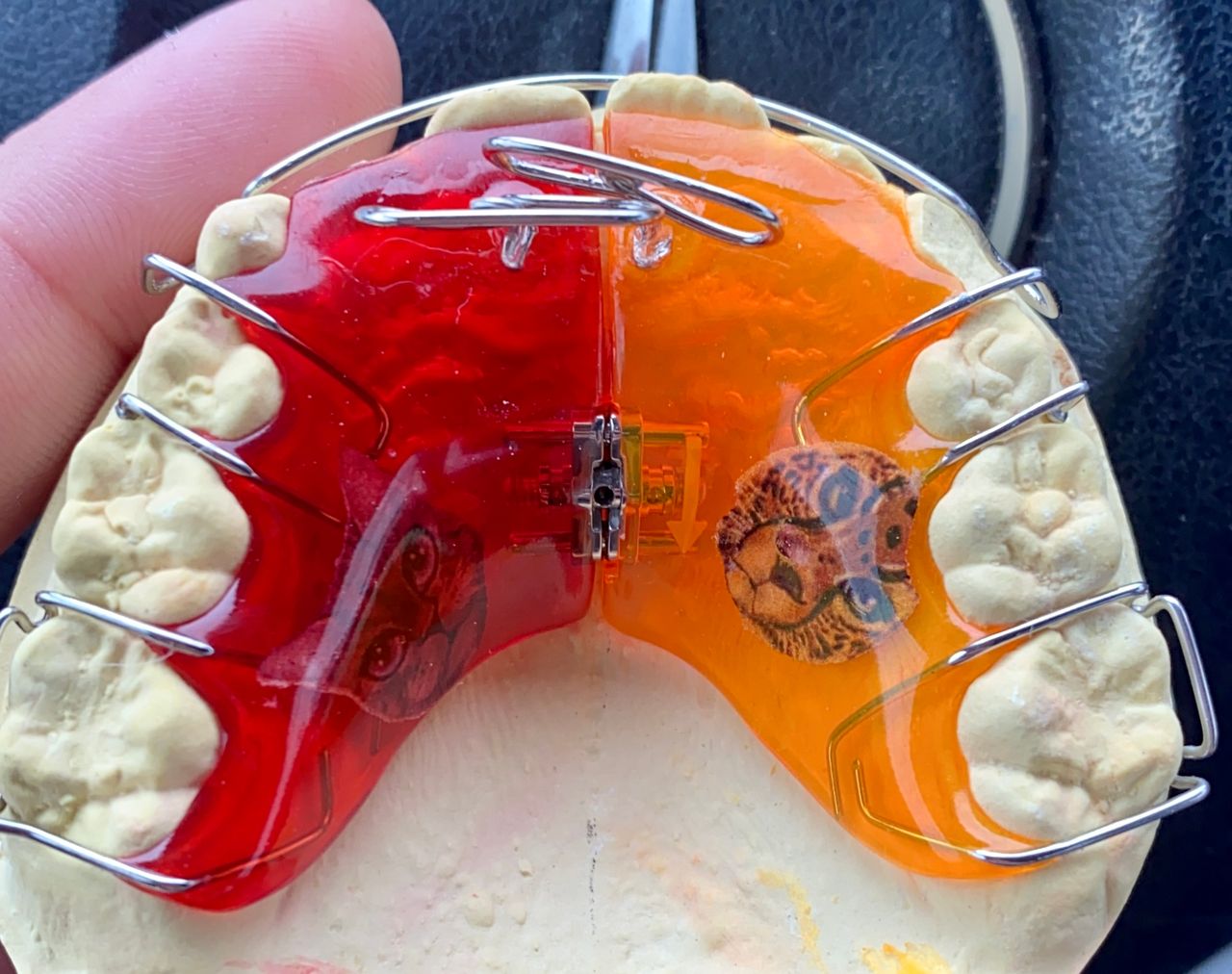 Paulina Joanna Połomka-11