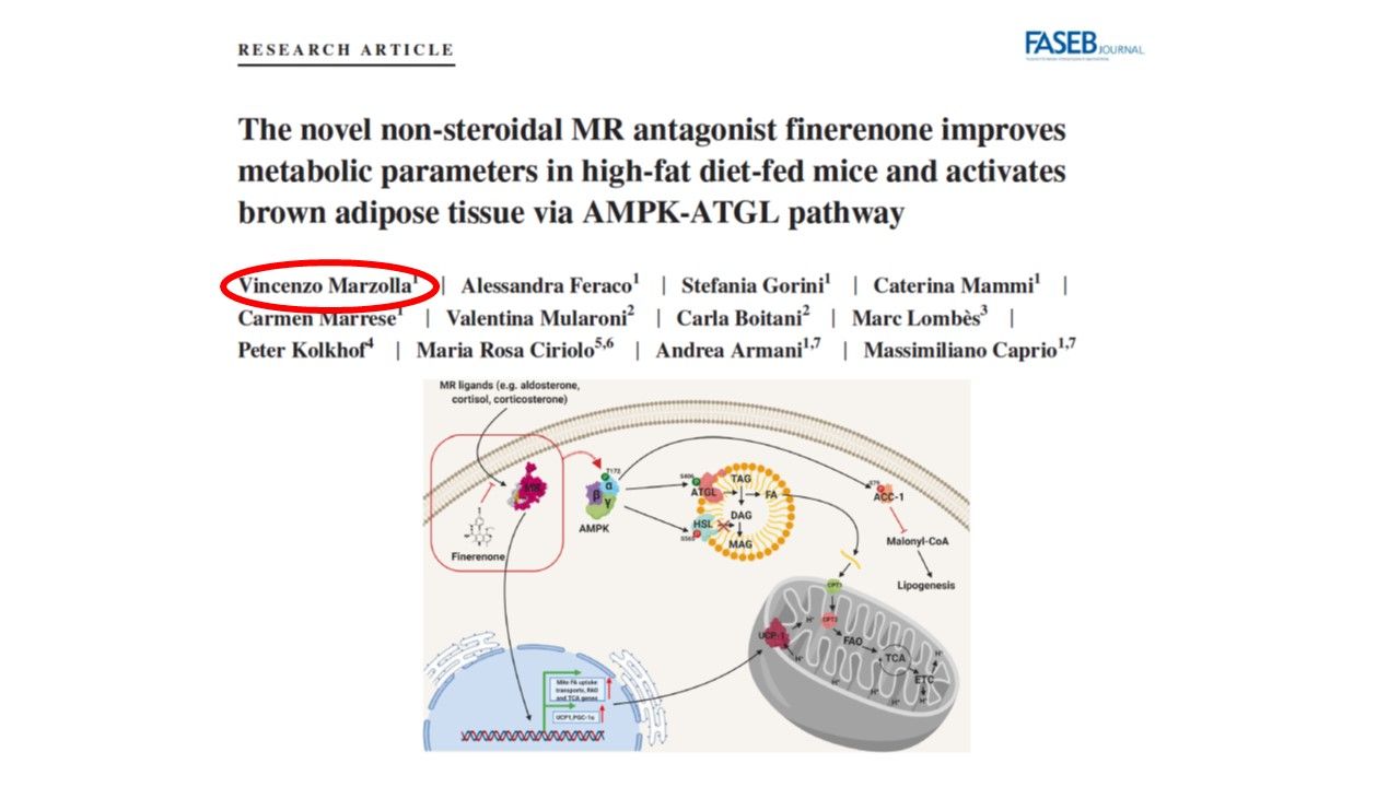 Vincenzo Marzolla-15
