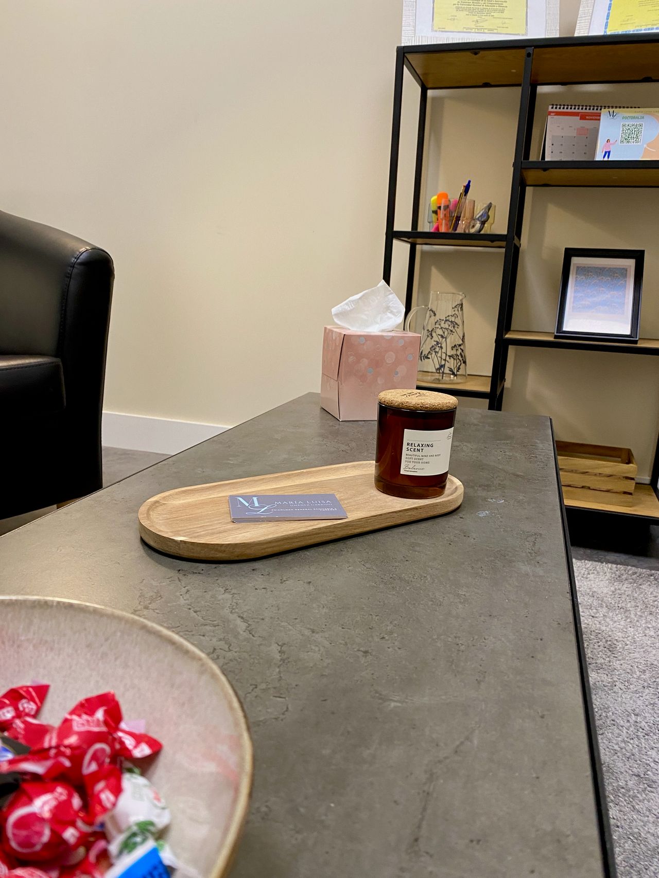 Maria Luisa Jimenez Garrido-8