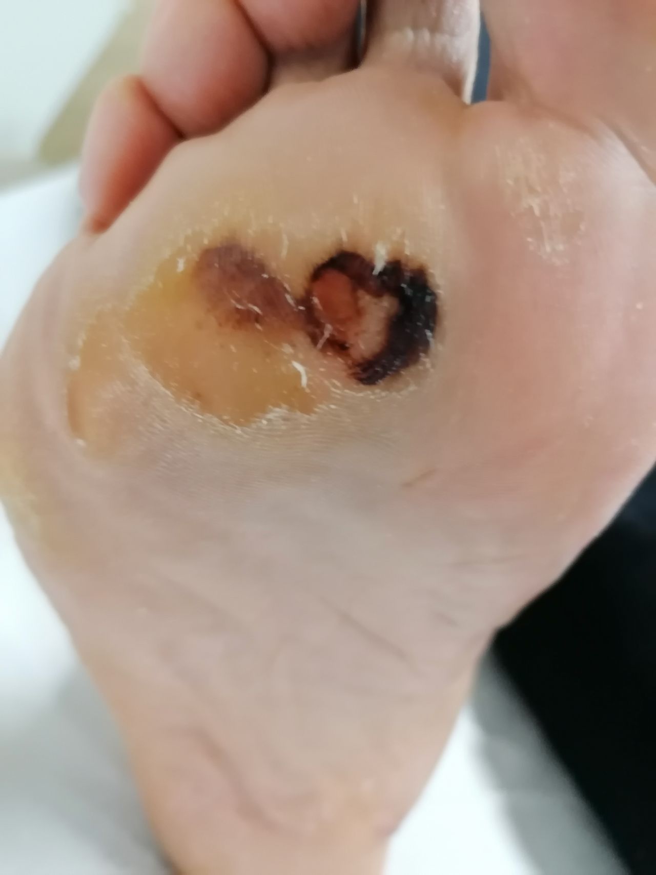 Kassandra Nicolosi-198