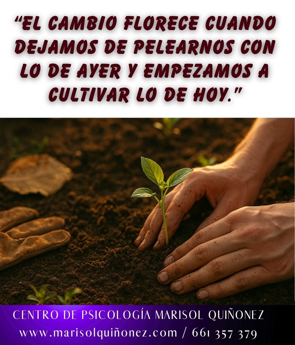 Marisol Quiñonez Quintero-179